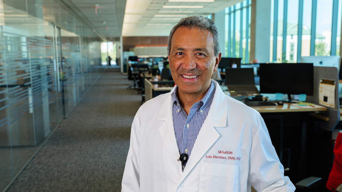 Luis Martinez-Lemus, DVM, PhD