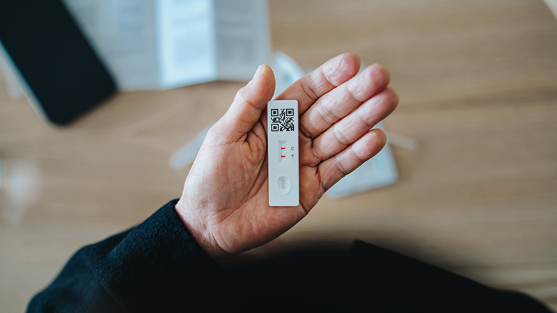 person holding covid test