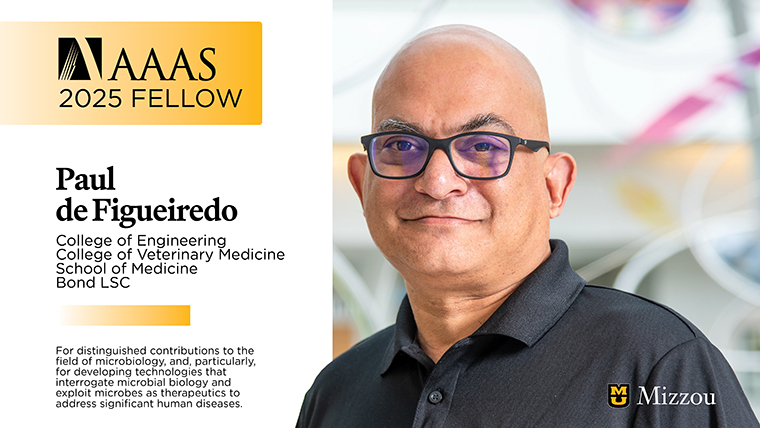 Image of Paul de Figueiredo