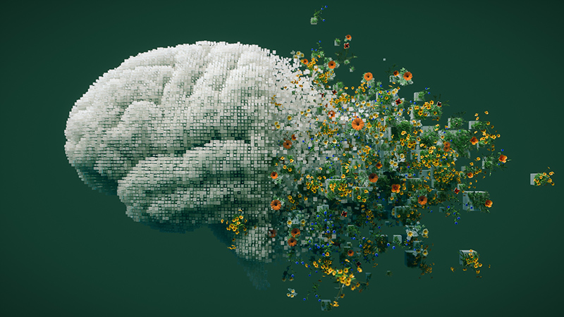 brain computer concept