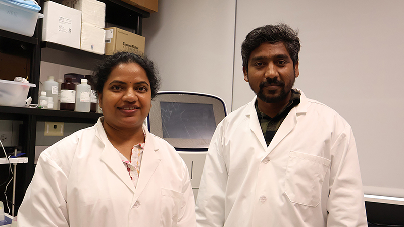 Prabhavathi Maddineni, PhD