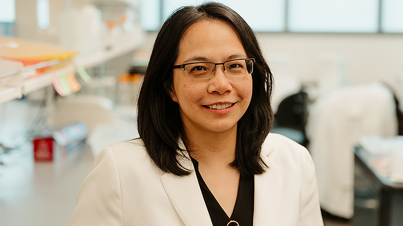 Ai-Ling Lin, PhD, professor of Radiology at the University of Missouri School of Medicine