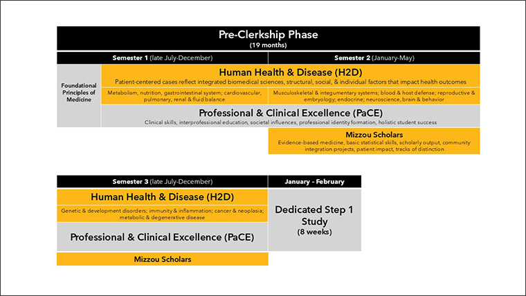 MOmentum Curriculum Schema Slide Graphic 1