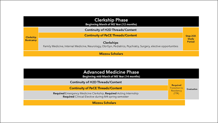 MOmentum Curriculum Schema Graphic 2
