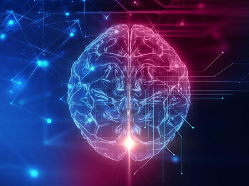 Futuristic brain diagram