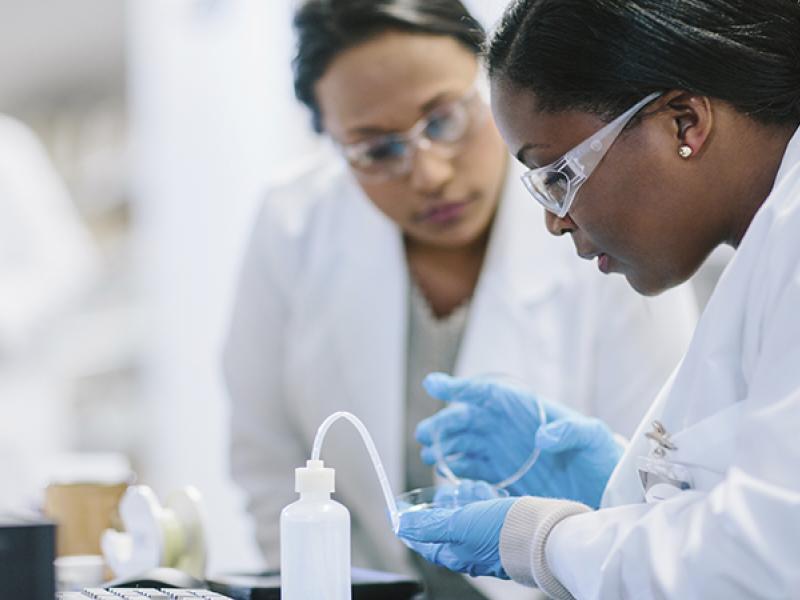 researchers in a lab