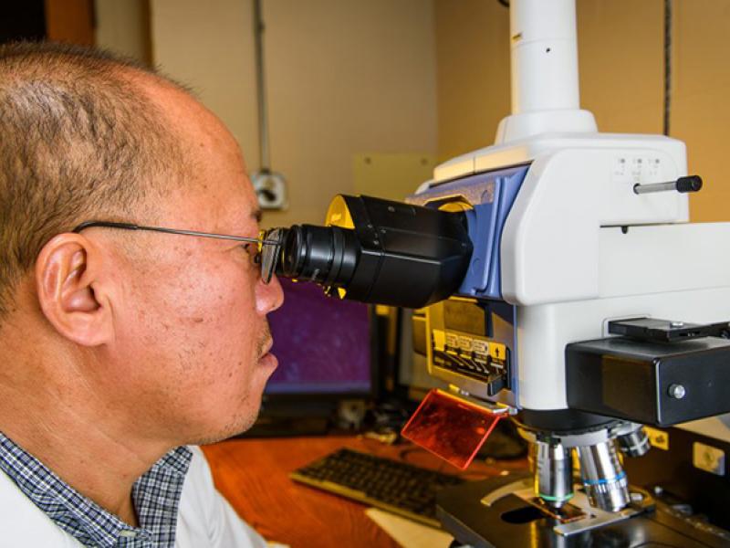 Dongsheng Duan, PhD, is the Margaret Proctor Mulligan Professor in Medical Research at the University of Missouri School of Medicine.