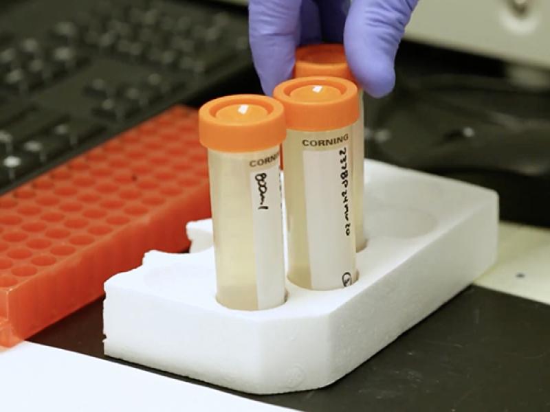 vaccine vials in a lab