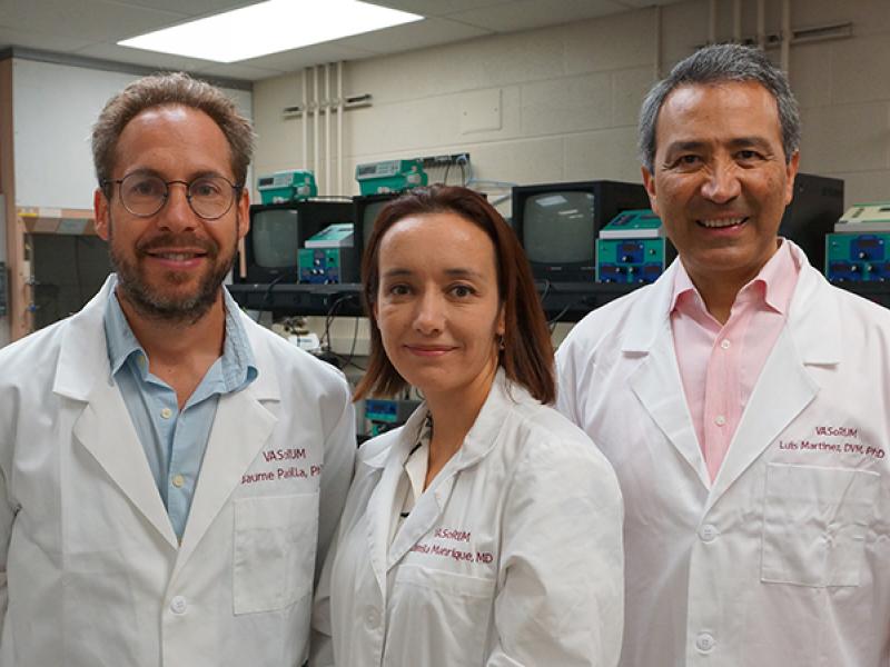 Jaume Padilla, PhD; Camila Manrique-Acevedo, MD; Luis Martinez-Lemus, DVM, PhD