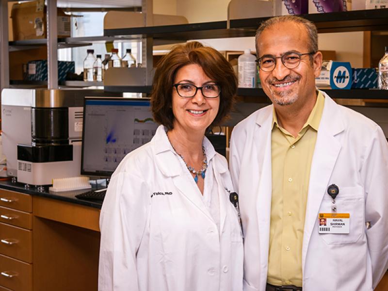 Haval Shirwan, PhD, and Esma Yolcu, PhD