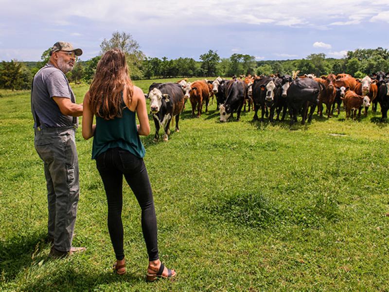 Michela Fabricius, a third-year medical student, visits with retired doctor Thomas Cooper, MD ’78, on his farm in Fulton.