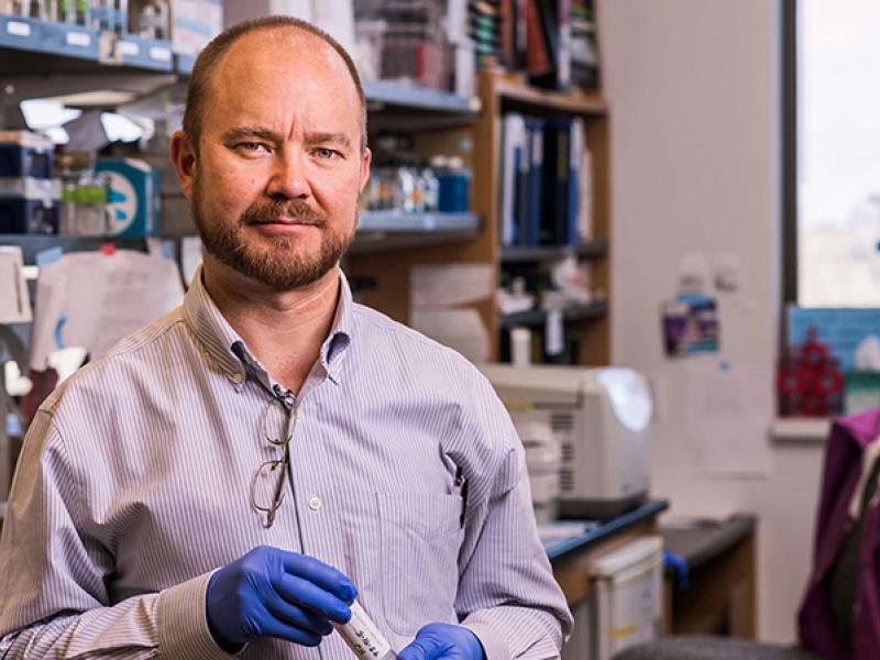 Marc Johnson, PhD, a professor in the Department of Molecular Microbiology and Immunology