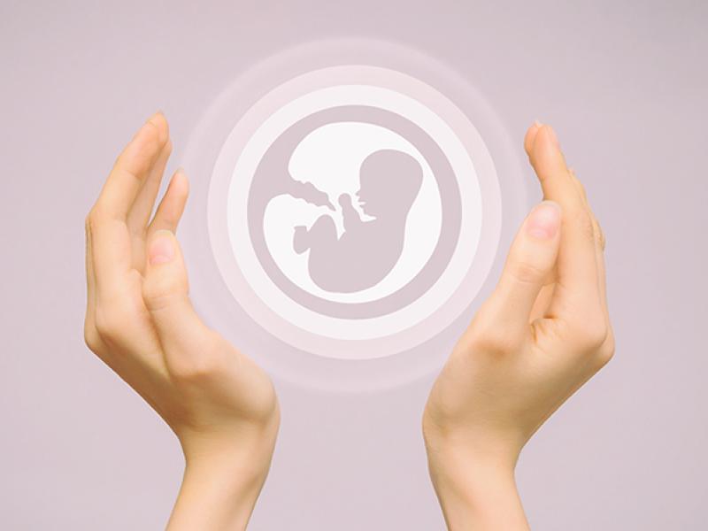 fetus conceptual illustration