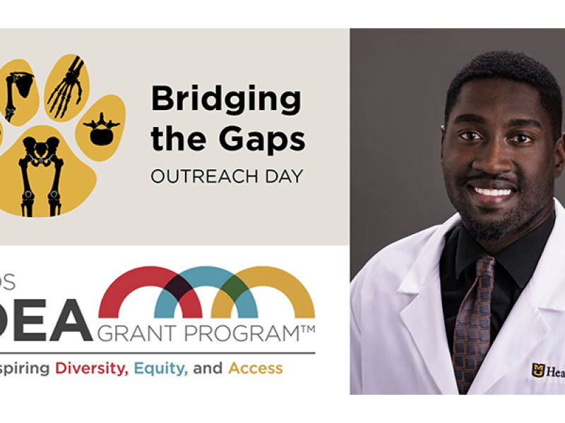 Njai Bridging the Gaps 