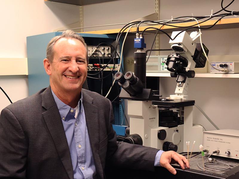 Kerry McDonald, PhD is a professor and the chair of Medical Pharmacology and Physiology at the Mizzou School of Medicine