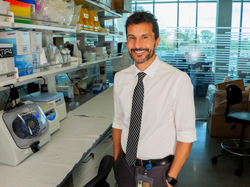 Alejandro R. Chade, MD is a professor of Medical Pharmacology and Physiology and Medicine