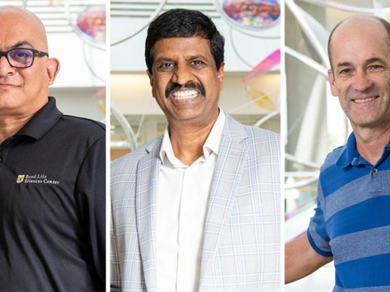 Mizzou's 2025 AAAS Fellows are, from left, Paul de Figueiredo, Roman Ganta and Wesley Warren