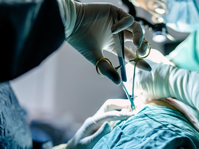 doctors in the OR