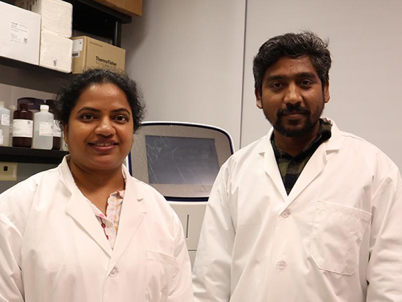 Prabhavathi Maddineni, PhD