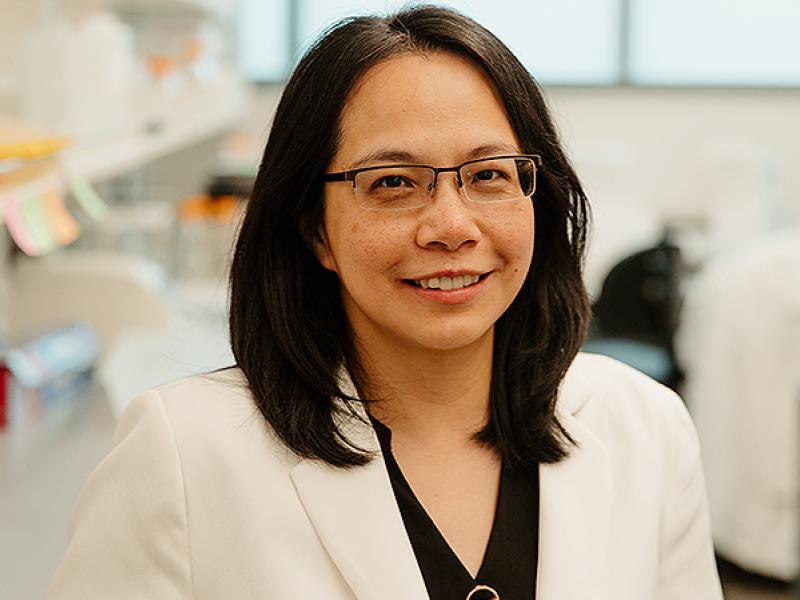 Ai-Ling Lin, PhD, professor of Radiology at the University of Missouri School of Medicine